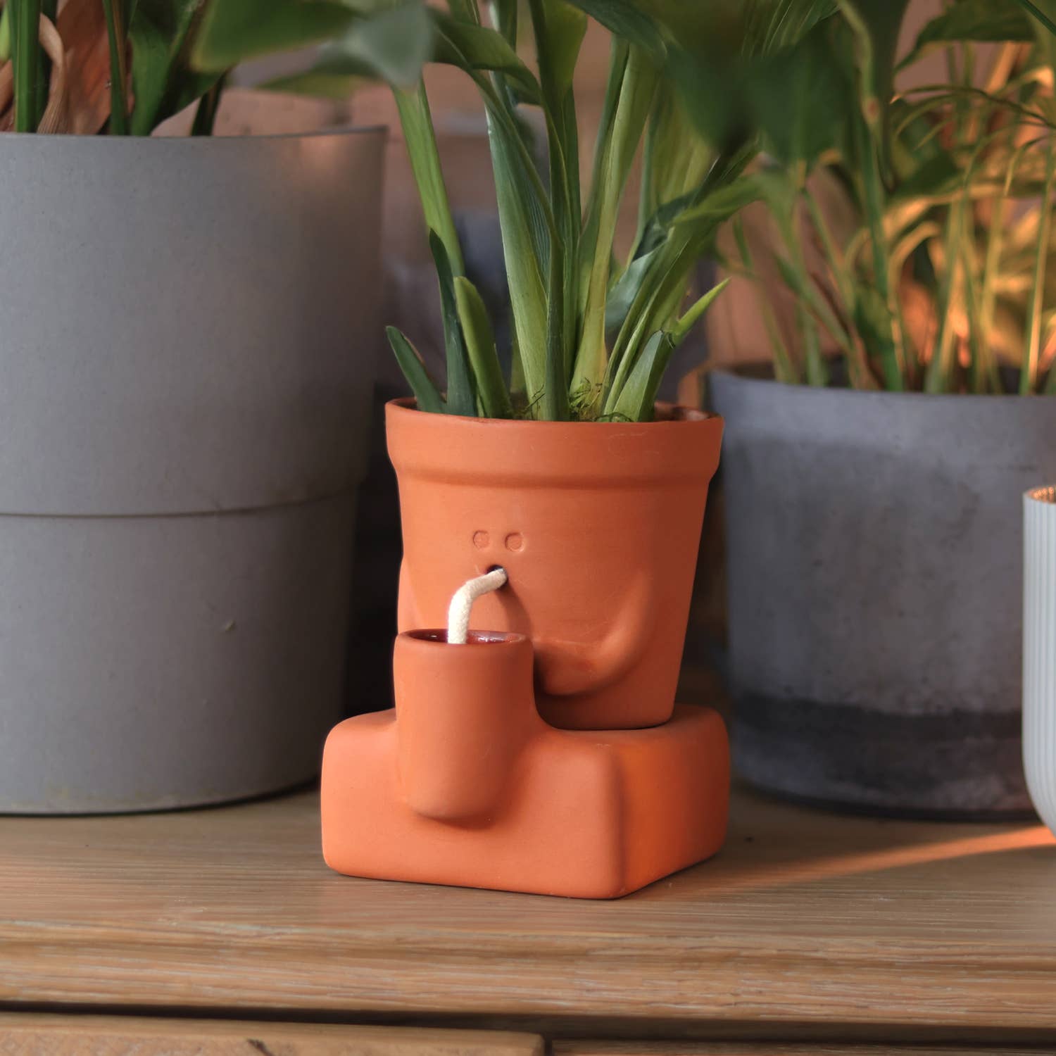 Pikkii - Vente Pot - Le Planteur Assoiffé | Pot de Plante Auto-Arrosant | Cadeau de Plante7