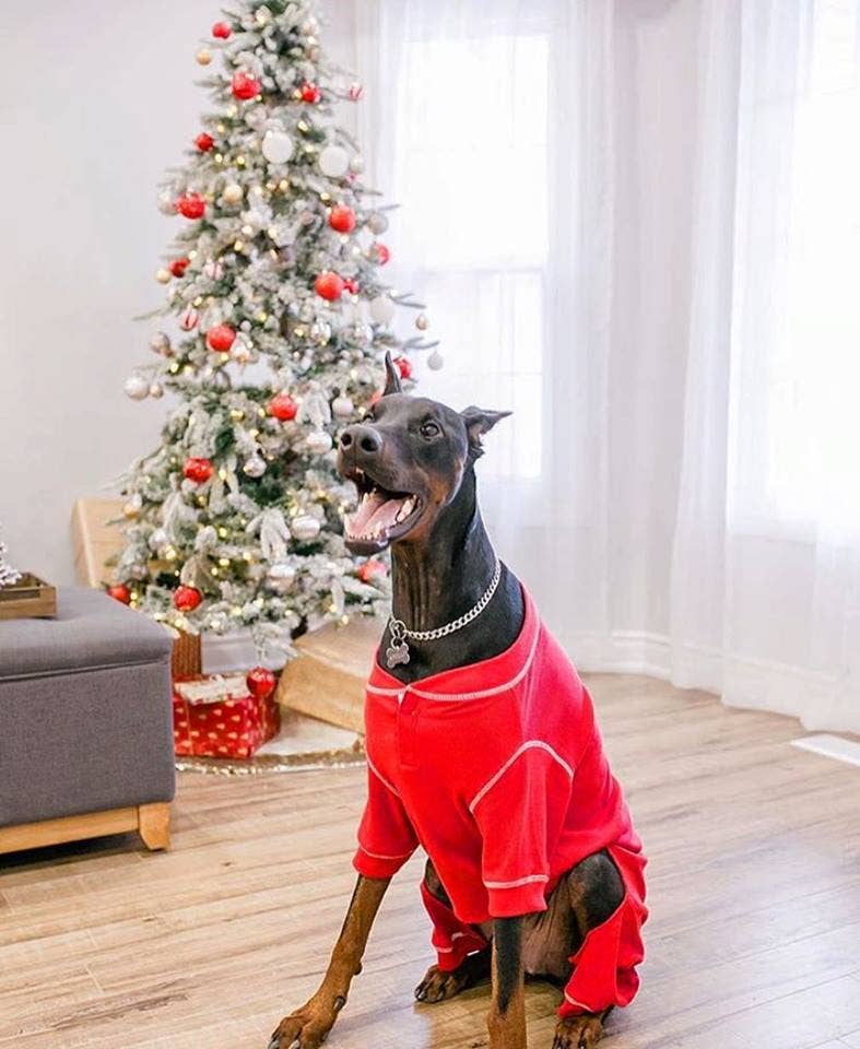 fabdog - Wholesale Pet Pajamas - Dog - Red Thermal Pajamas3
