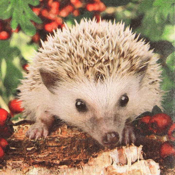 Home Fashion - Carl Dietrich GmbH - Wholesale Disposable Napkin - Barnie lunchnapkins