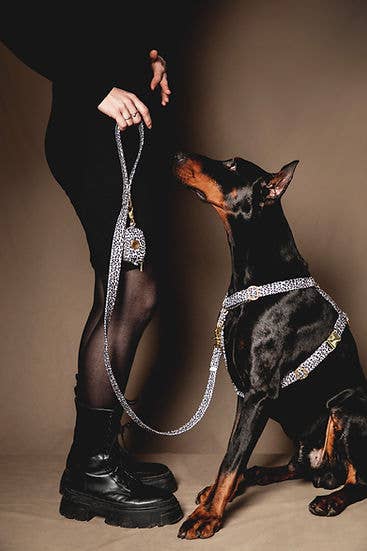 Pompon & Pets - Wholesale Pet Harness - Dog - Leopard Harness - Waterproof Fabric2