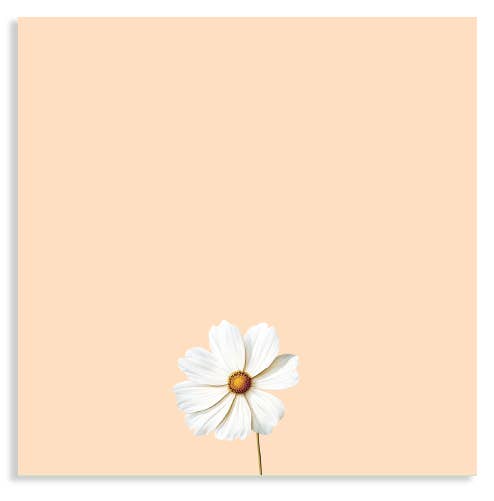 30x40 - Wholesale Notepad - Cosmea Notepad 10x10cm