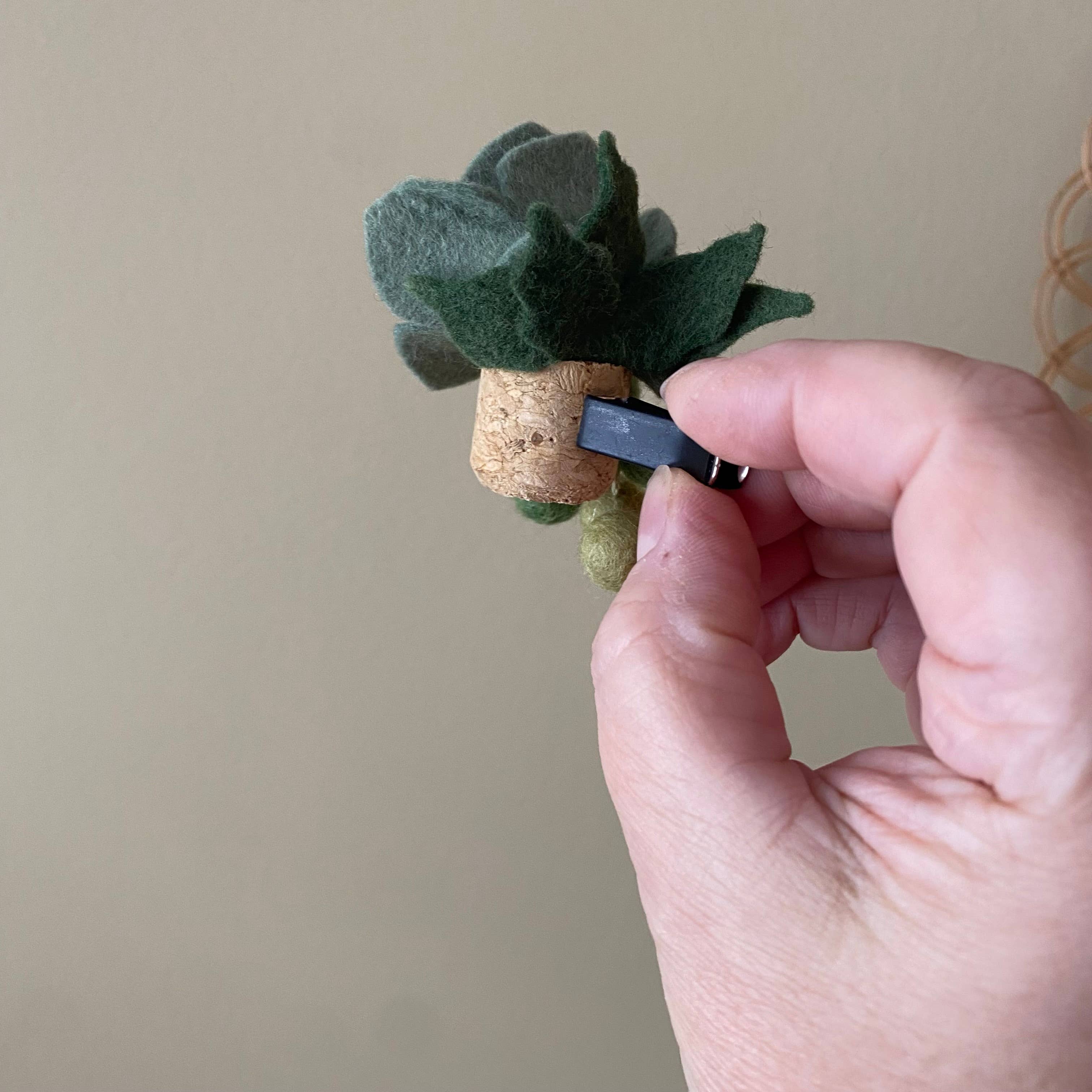 ForgetBKnot - Vente Désodorisant pour voiture – unisexe - Diffuseur d'huiles essentielles pour voiture avec clip : Feutre Succulent3