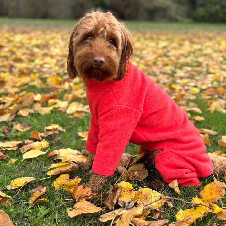 Pet Wiz – wholesale Pet jumper – Dog – Four Legged Dog Fleeces - Wide Range of Sizes & Colours