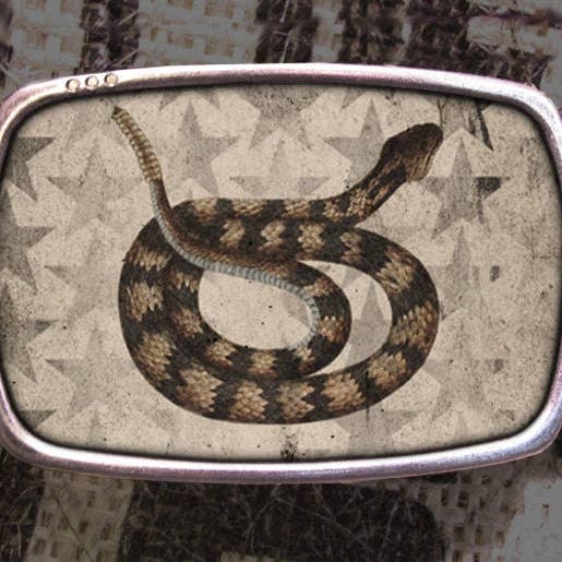 Rattlesnake riemgesp voor wholesale door Regan Flegan