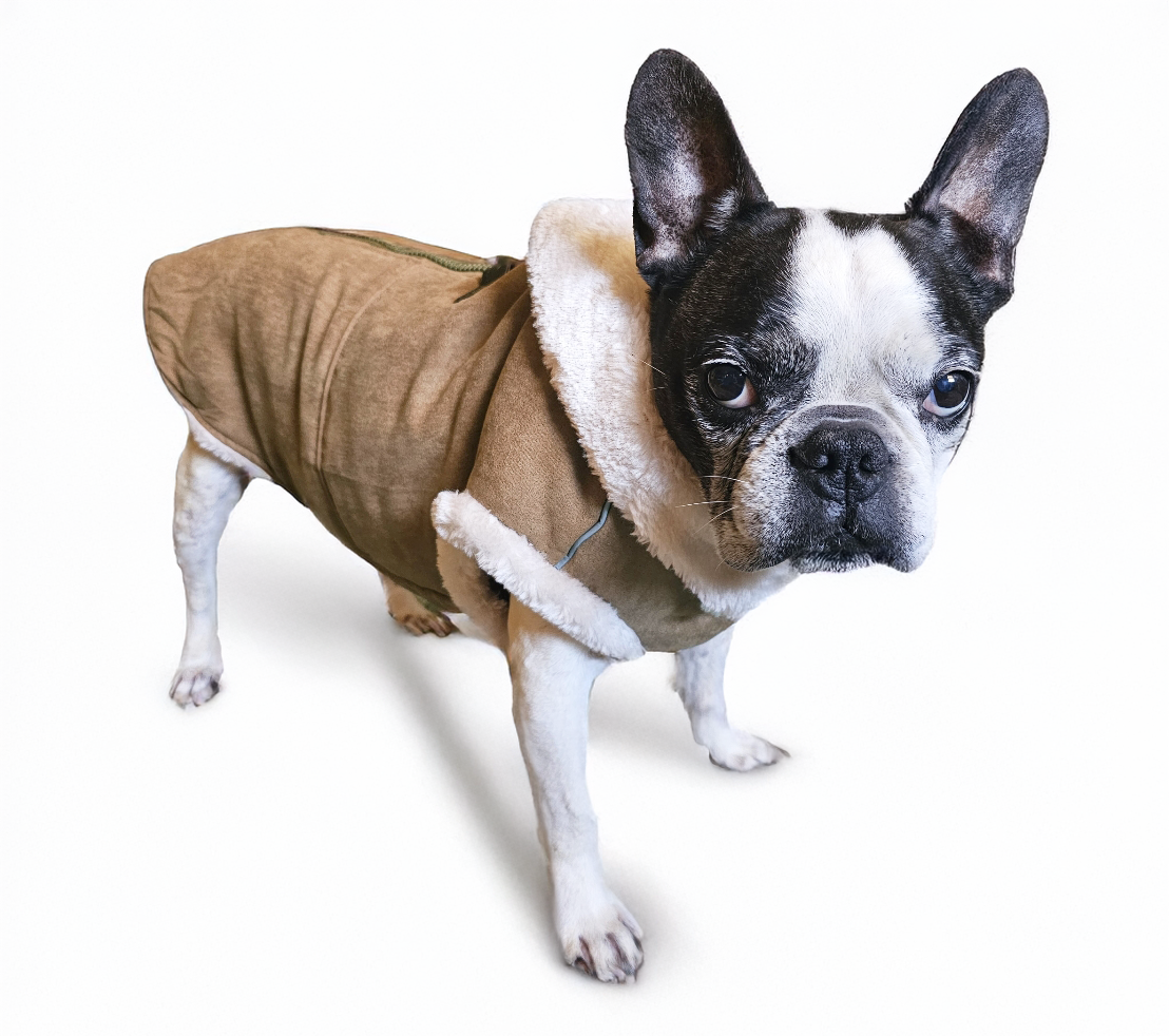 Dogo Pet - Wholesale Pet Coat - Dog - Furry Runner Coat6