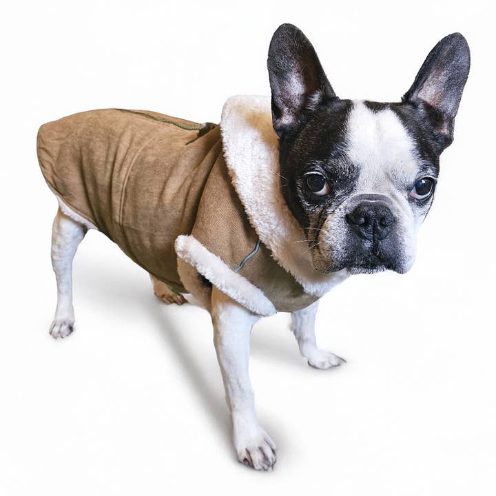 Dogo Pet - Wholesale Pet Coat - Dog - Furry Runner Coat6