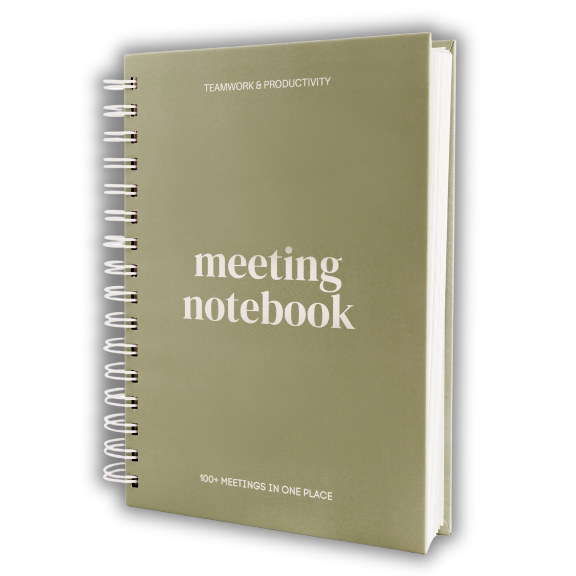 Lamare - Wholesale Notebook - Lamare Meeting Notebook – Project Planner & Work Organizer3