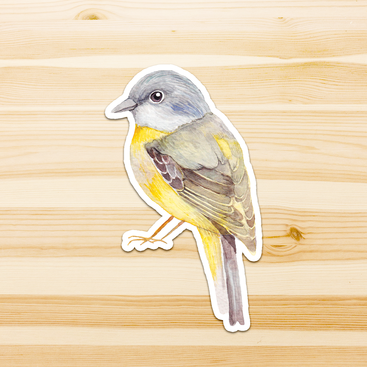 Watercolour By Cat - Vendita all'ingrosso Adesivo - Adesivo in vinile con grande uccello australiano6