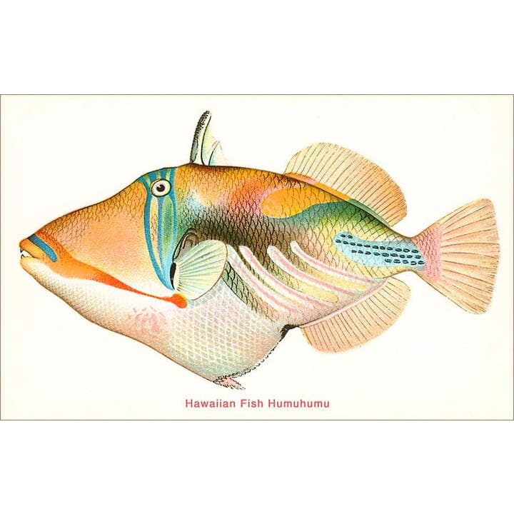 Found Image Press - Vendita all'ingrosso Set di cartoleria/cancelleria - Biglietto di Auguri HI-257 Pesce Hawaiano, Humuhumu
