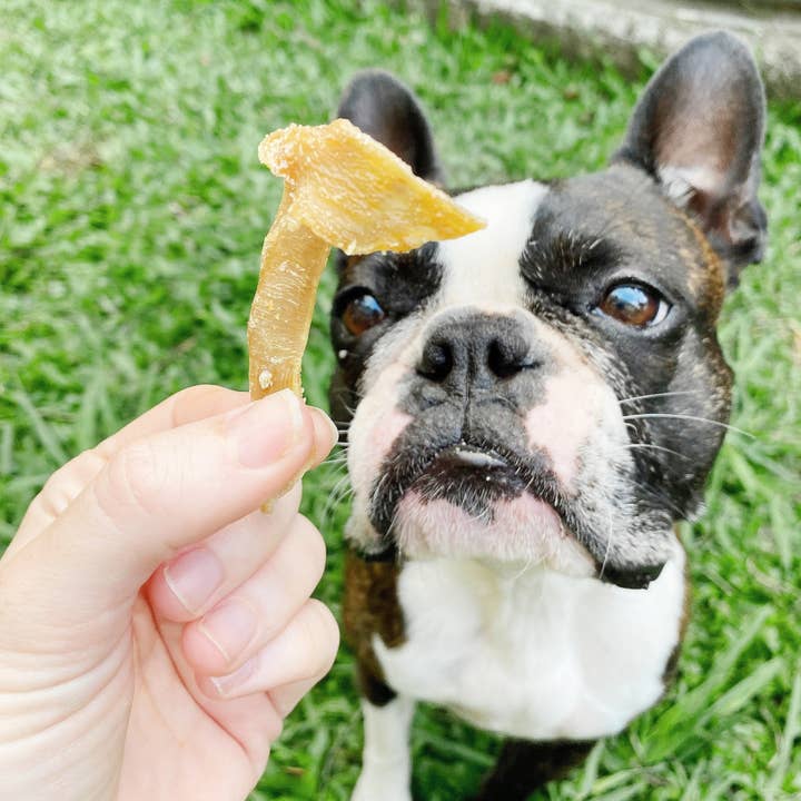 Rover Pet Products - Wholesale Pet Treats - Dog - Trippn’ Tripe - Goat Tripe1