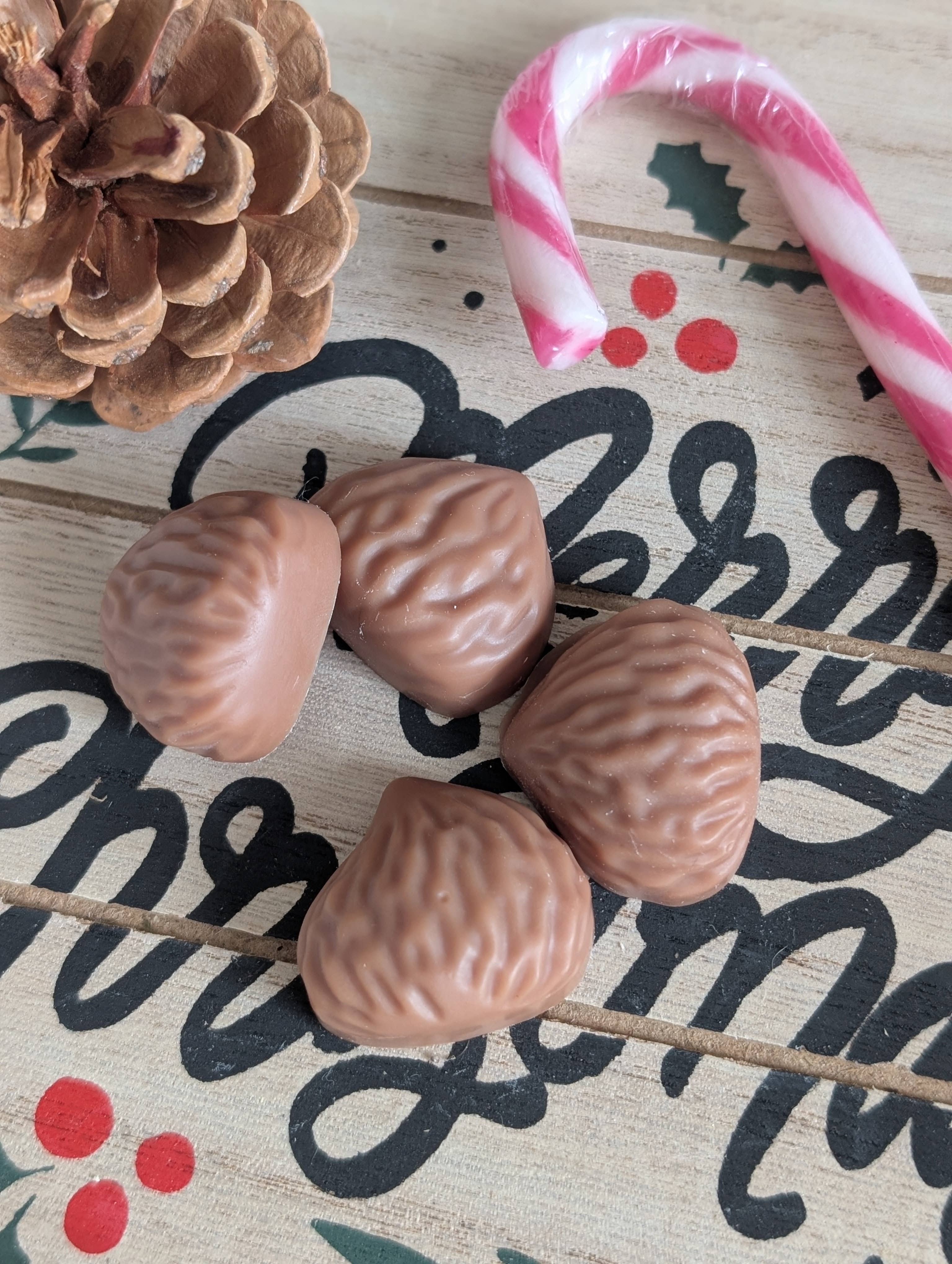 Les bougies Burgondes - Wholesale Wax Melt - Box of 10 Christmas scented melts6