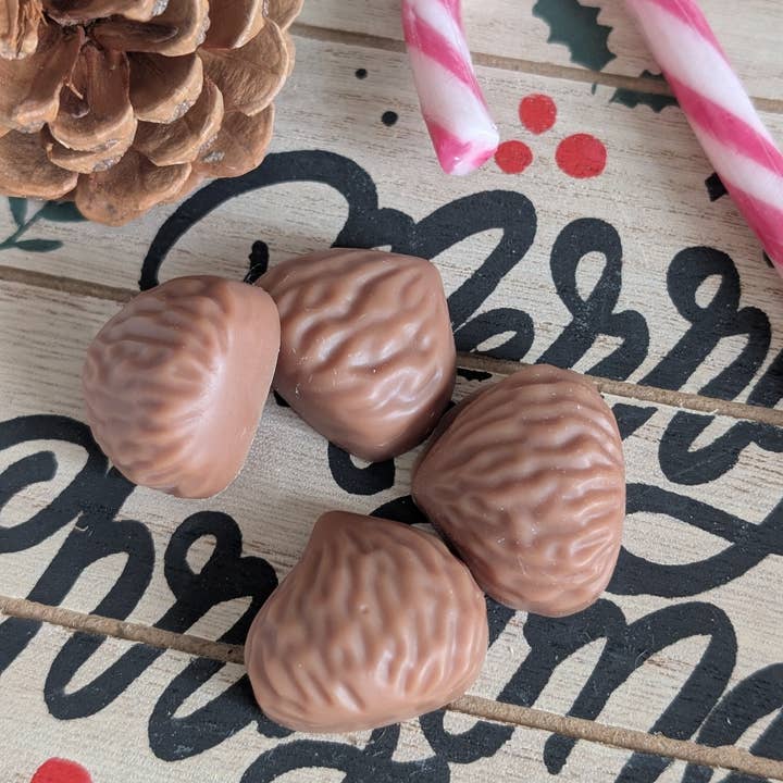 Les bougies Burgondes - Wholesale Wax Melt - Box of 10 Christmas scented melts6