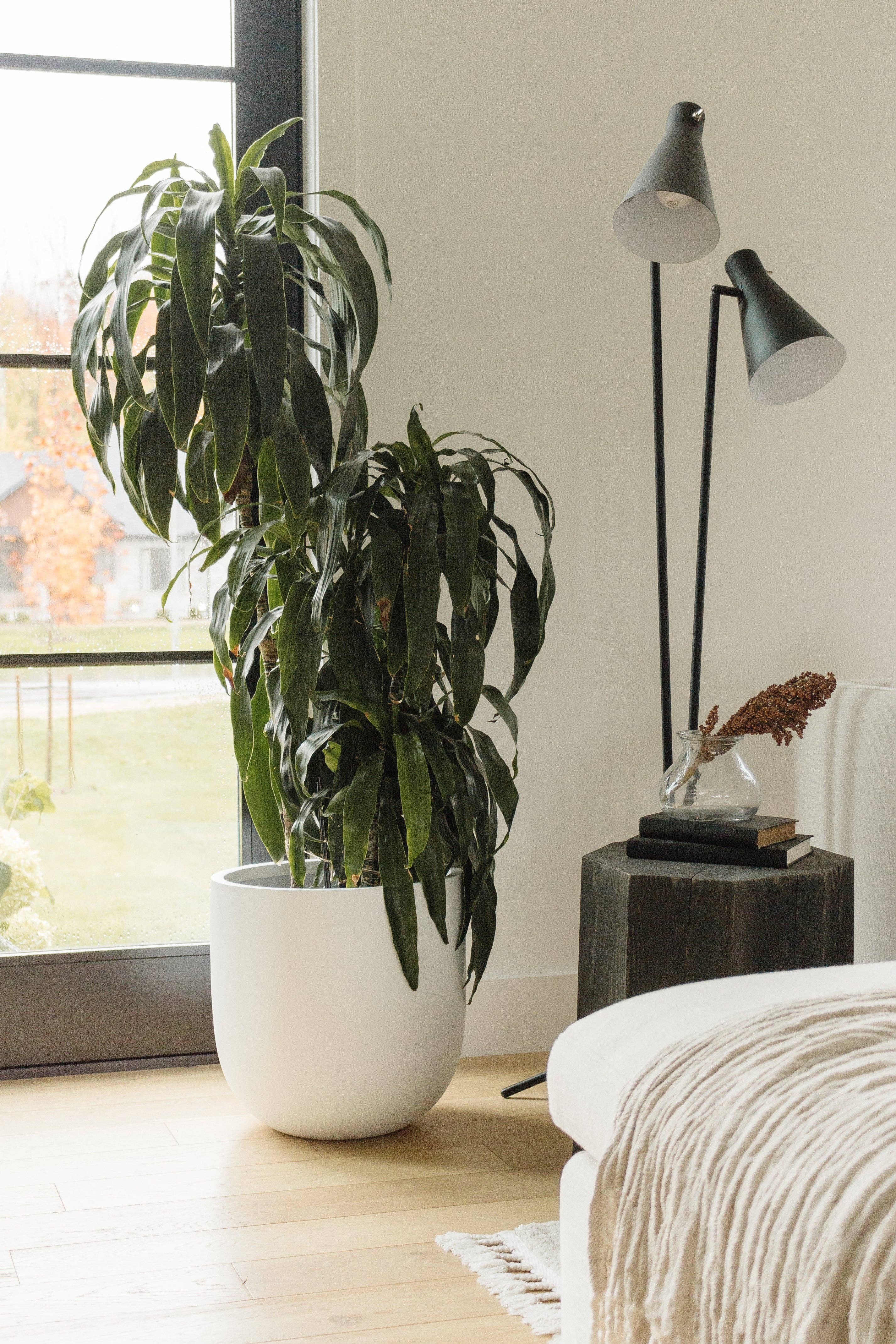 Common House Studio - Vendita all'ingrosso Vasi per piante - VASO ESSENZIALE | FIORIERA17