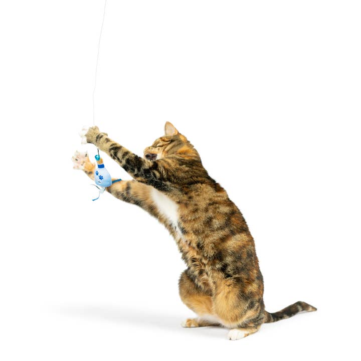 Huxley & Kent - Wholesale Pet toy – Cat - Teaser Kitty Loco Cat Wand5