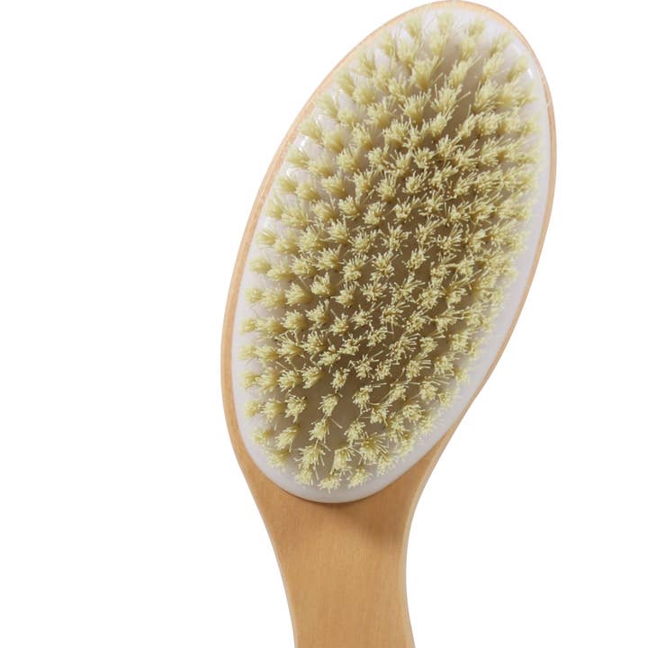 Wicked Sista Accessories - Wholesale Body Brush - WS Dry Body Brush 25cm0