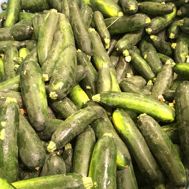 CONSERVES GUINTRAND – wholesale Inlagda grönsaker – Friterad zucchini med tomat PG 327 ml