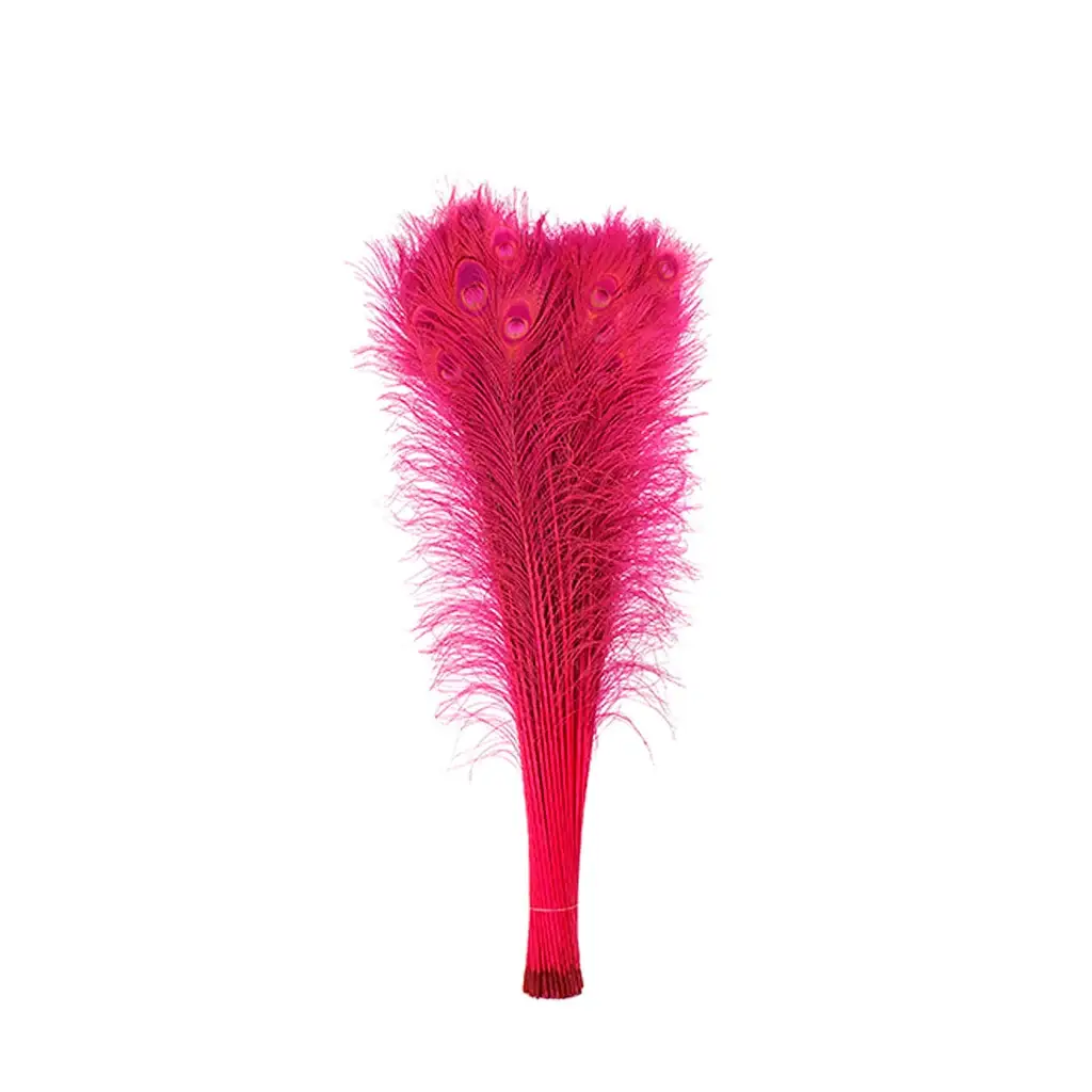 Zucker Feather Products – wholesale Craft supplies – Peacock Tail Eyes Bleached Dyed - Shocking Pink5