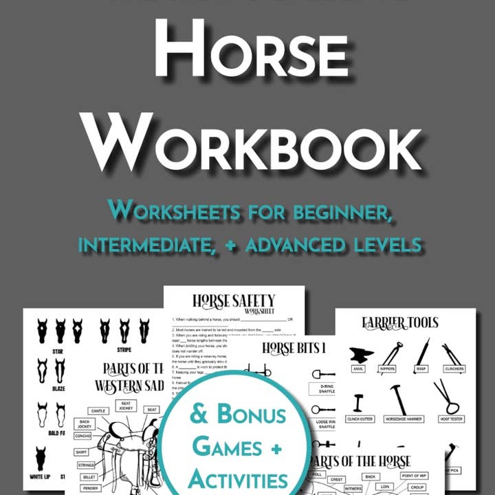 Circus Unicorn Shop - Wholesale Horseback Riding Gear - Equestrian Workbook Sampler3