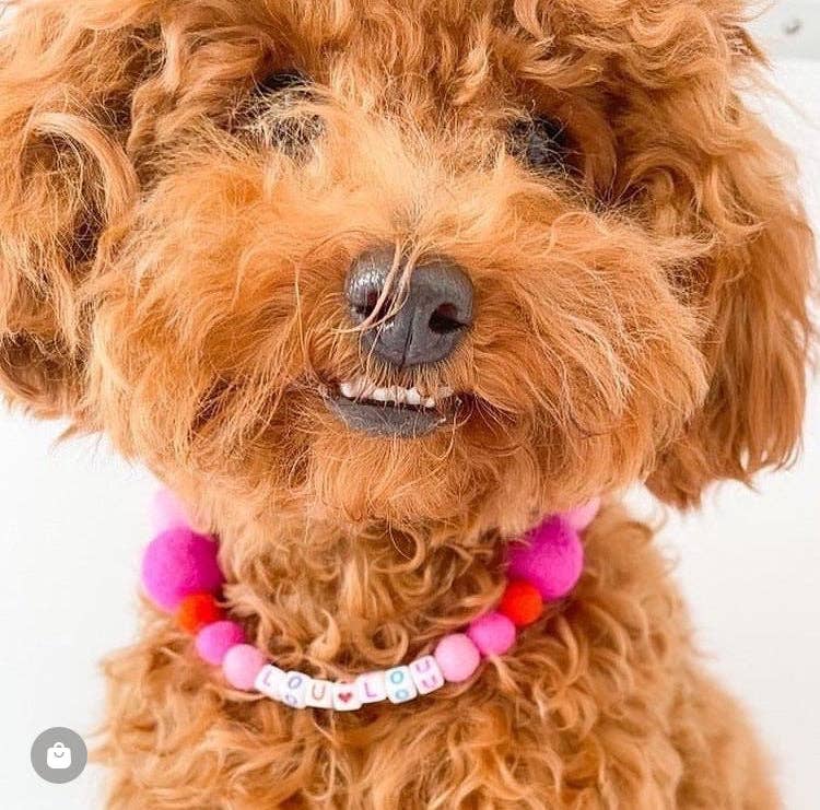 Puppies & Pom Poms - Wholesale Pet Collar - Dog - Pink - Personalised Pom Pom Dog Collar41