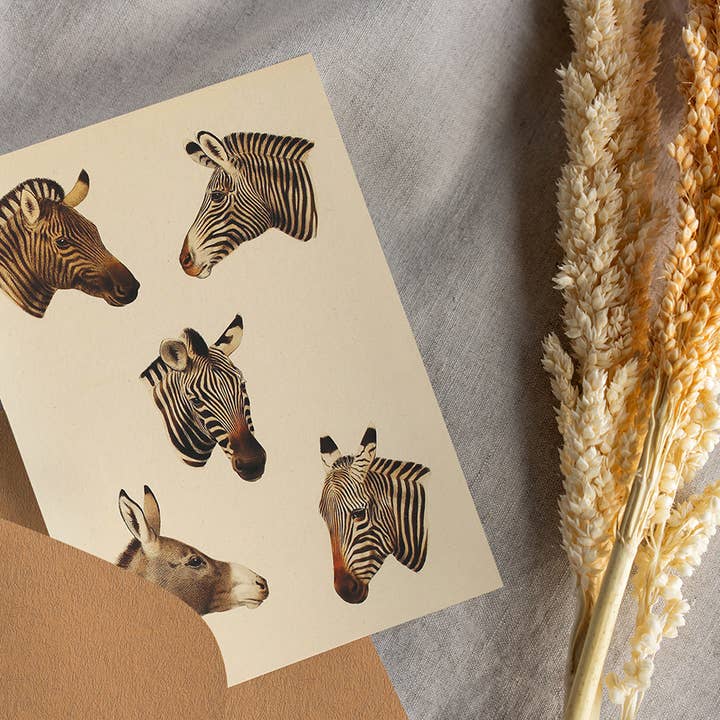Postcard Vintage Zebra's - Retro for wholesale by Esque