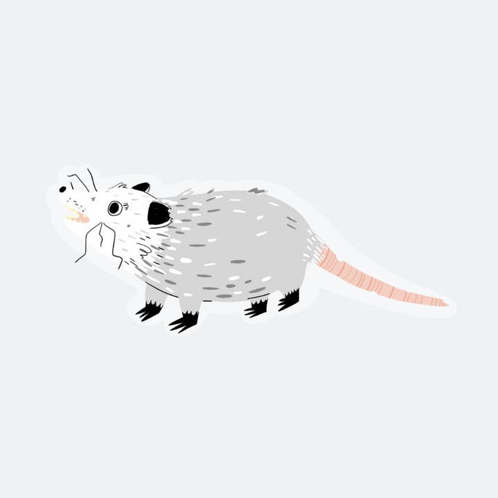 Possum sticker voor wholesale door Good and Human