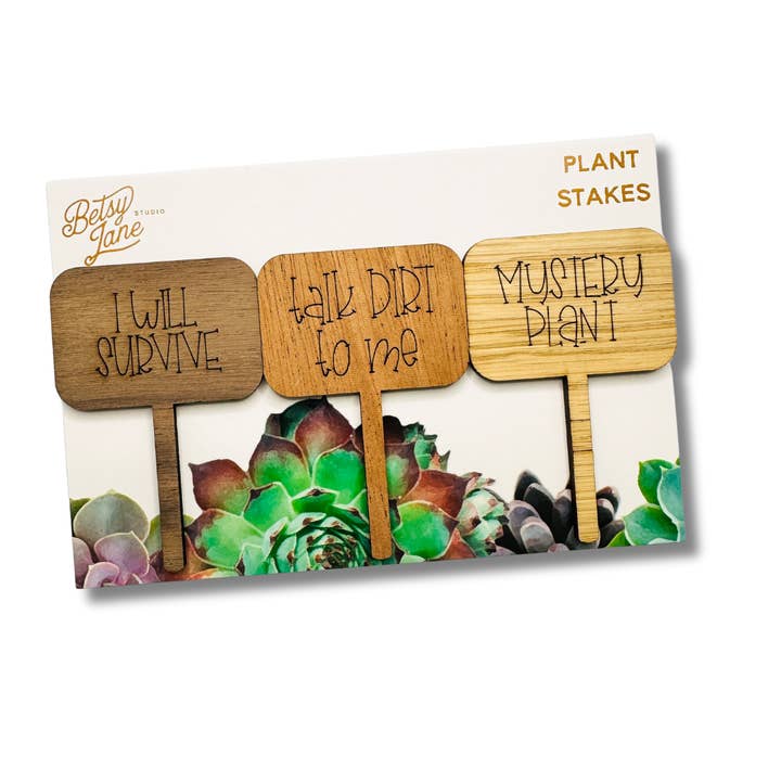 Survive Succulent Plant Stakes for wholesale by Betsy Jane Studio