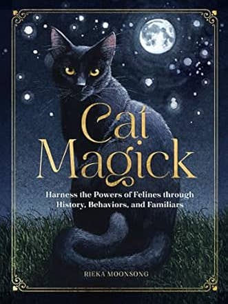 Cat Magick for wholesale by Texas Bookman