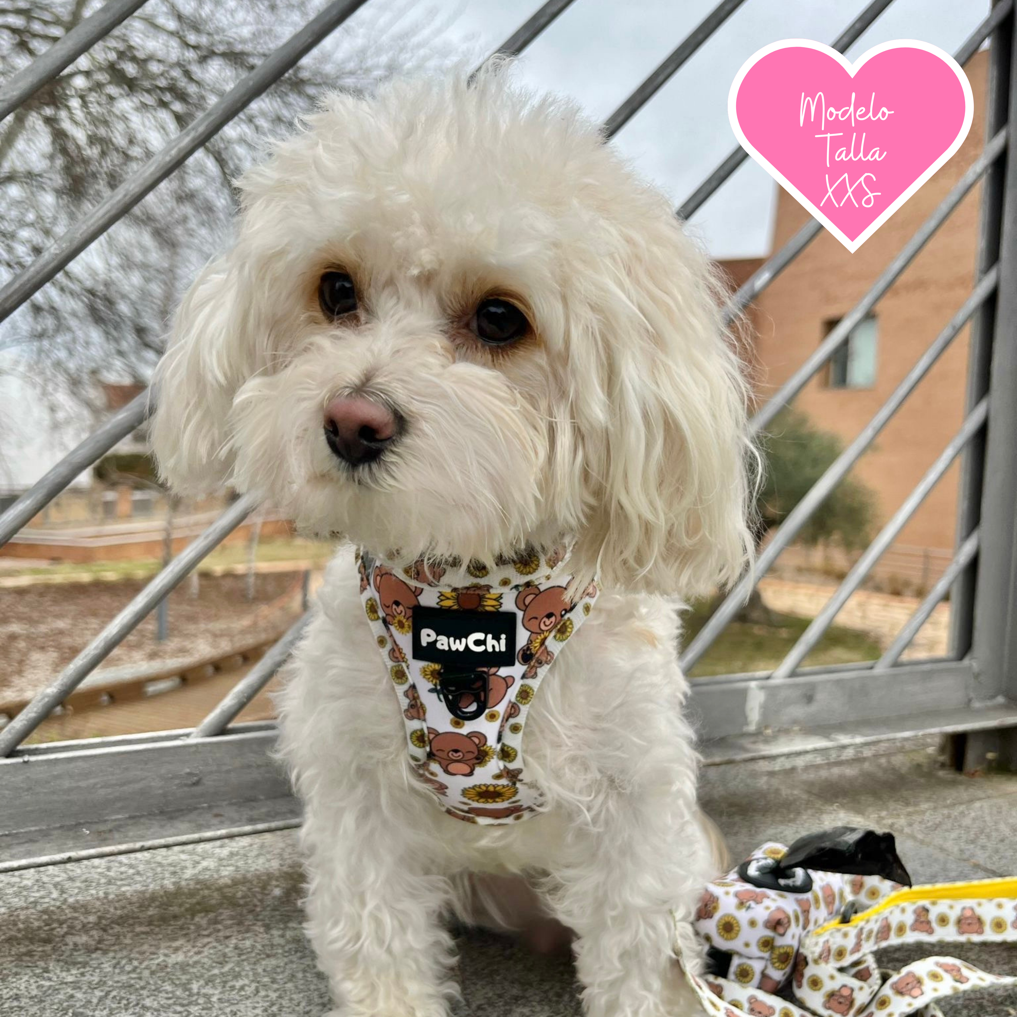 PawChi - Wholesale Pet Harness - Dog - SUNNY BEAR BODY HARNESS2