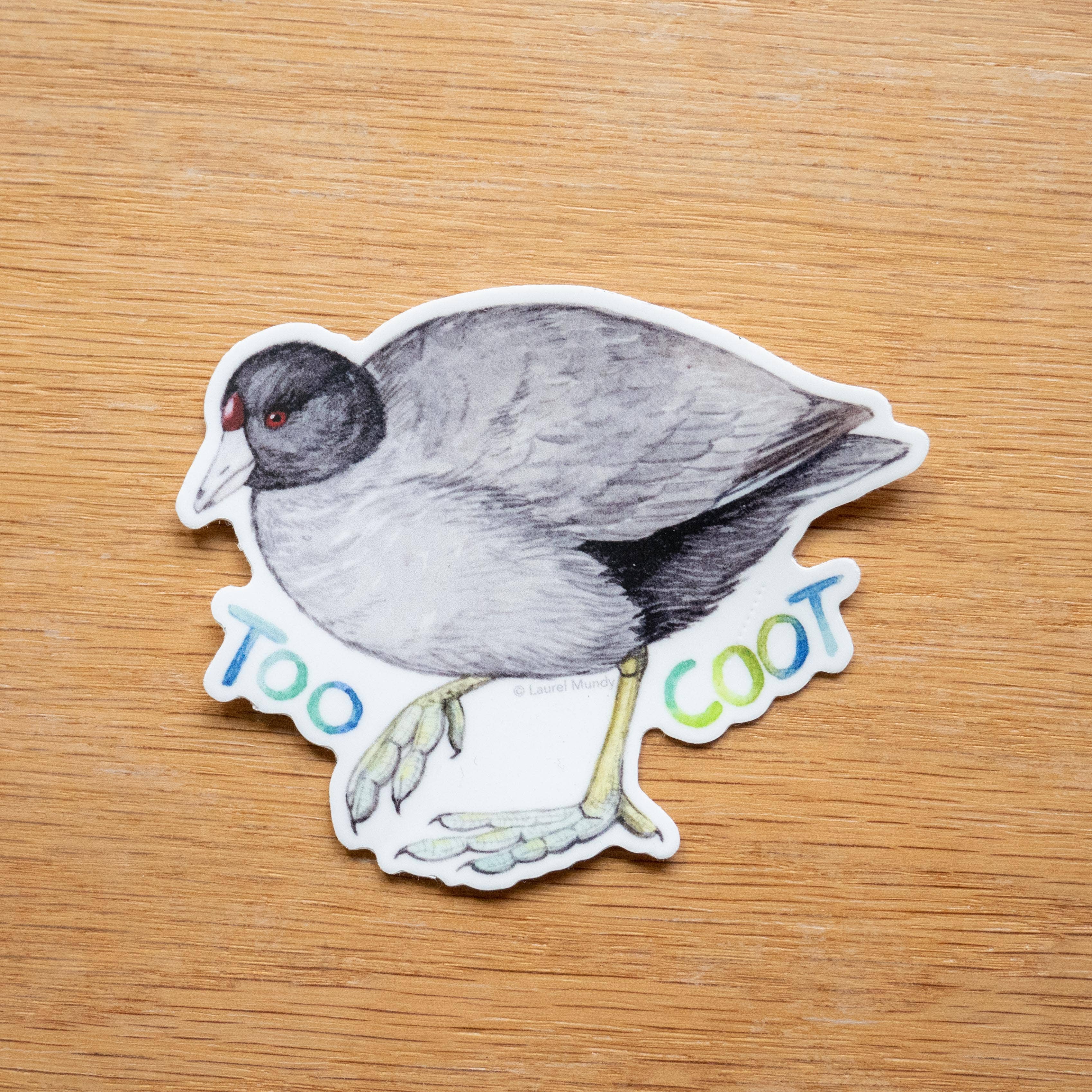 Laurel Mundy Illustration - Wholesale Sticker - Too Coot! American Coot 3" Medium Vinyl Sticker1