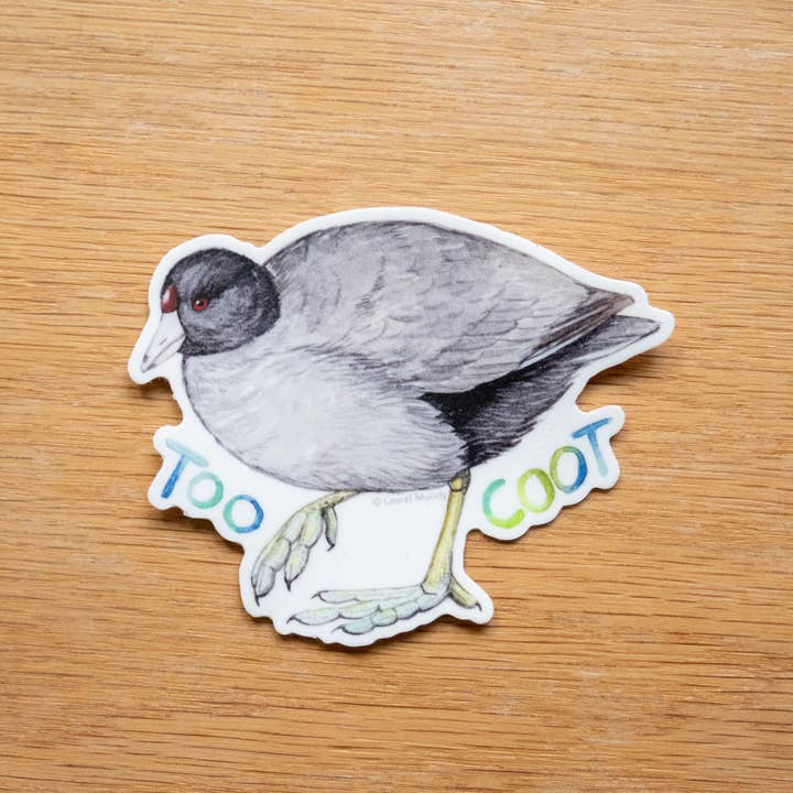 Laurel Mundy Illustration - Wholesale Sticker - Too Coot! American Coot 3" Medium Vinyl Sticker1