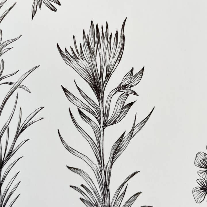 Vanee.ink - Wholesale Art Print - Alpine Wildflowers Print6