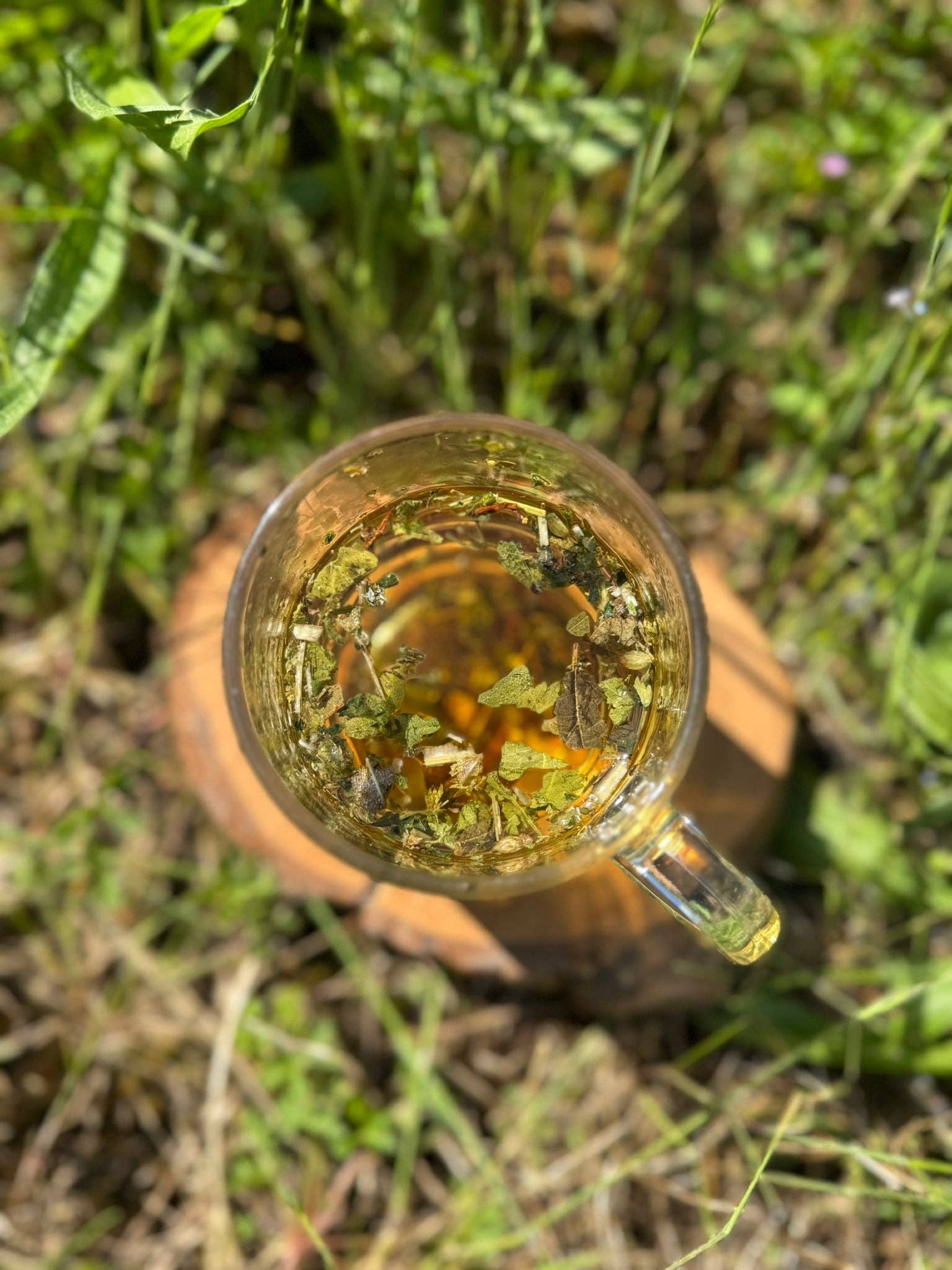 Les sorcières du lac – Chá de saúde/Detox por atacado – Chá Moon - Plantas Amigas do Nosso Útero2