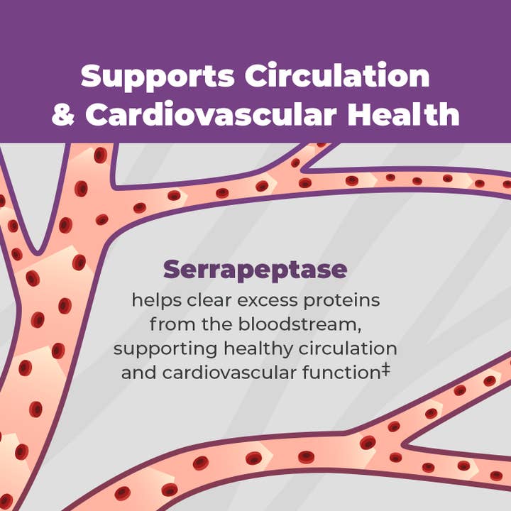 Balance One Supplements - Wholesale Oral Supplement/Vitamin - SerraDefend – Enzyme Support for Inflammation & Biofilms3