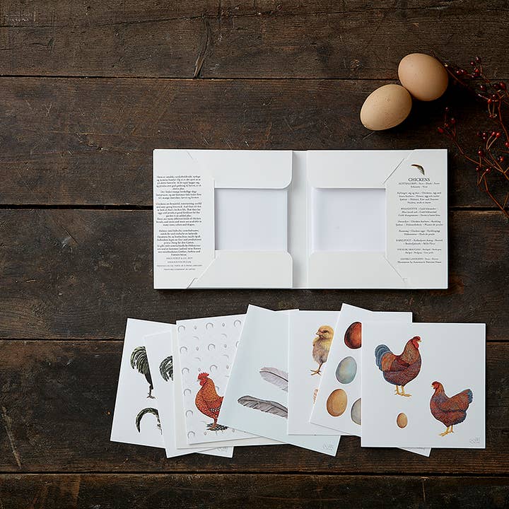Koustrupco - Vente Carte de vœux classique - Cartes carrées POULETS- 8 cartes de qualité fabriquées en Europe1