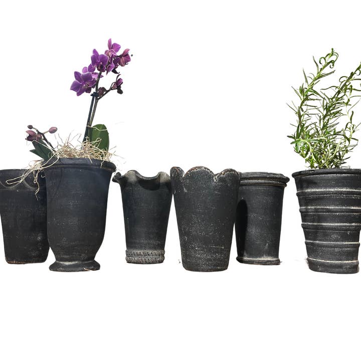 Botanical Collections - Wholesale Plant Pot - Tall Herb Pots - Case of Six