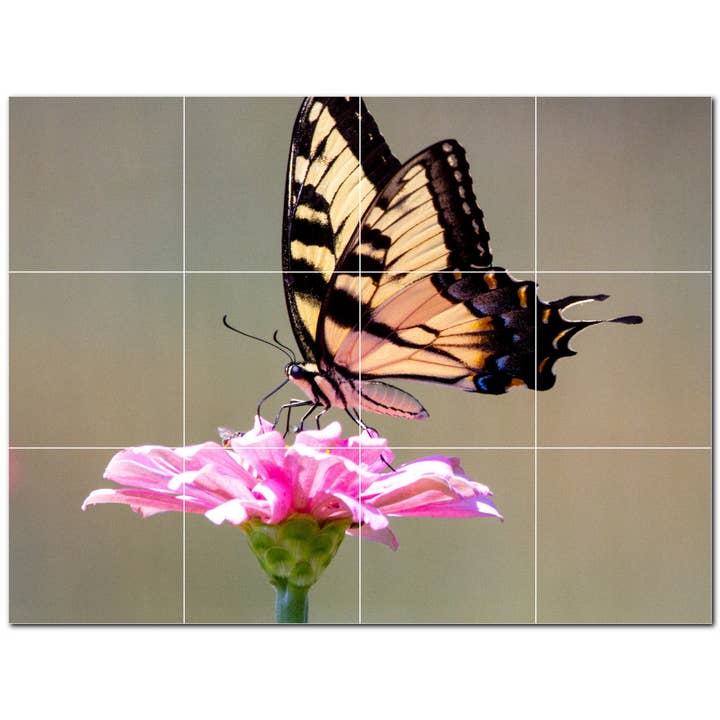 Schmetterlingskeramikfliese Keramikfliesen-Wandbild PT500282 für den Großhandel von Picture-Tiles.com