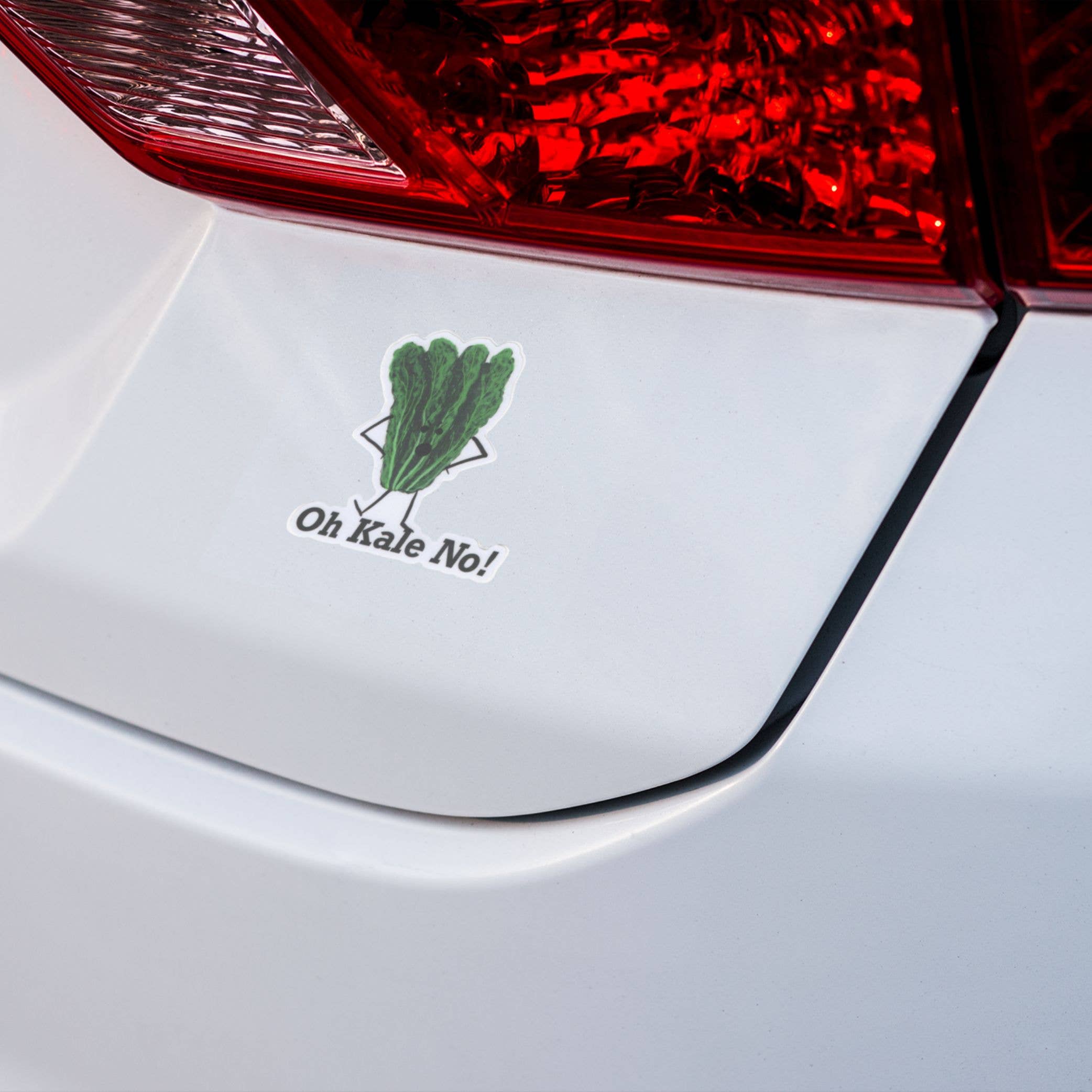 Punaballoo – Großhandel Aufkleber – Oh Grünkohl Nein! 3" Vinyl Grünkohl-Wortspiel-Aufkleber3
