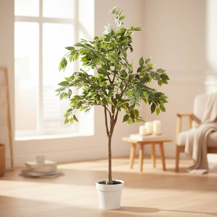 53" Ficus Tree ( 7.25"pot; 45.3" x 53"H) for wholesale by Algreen