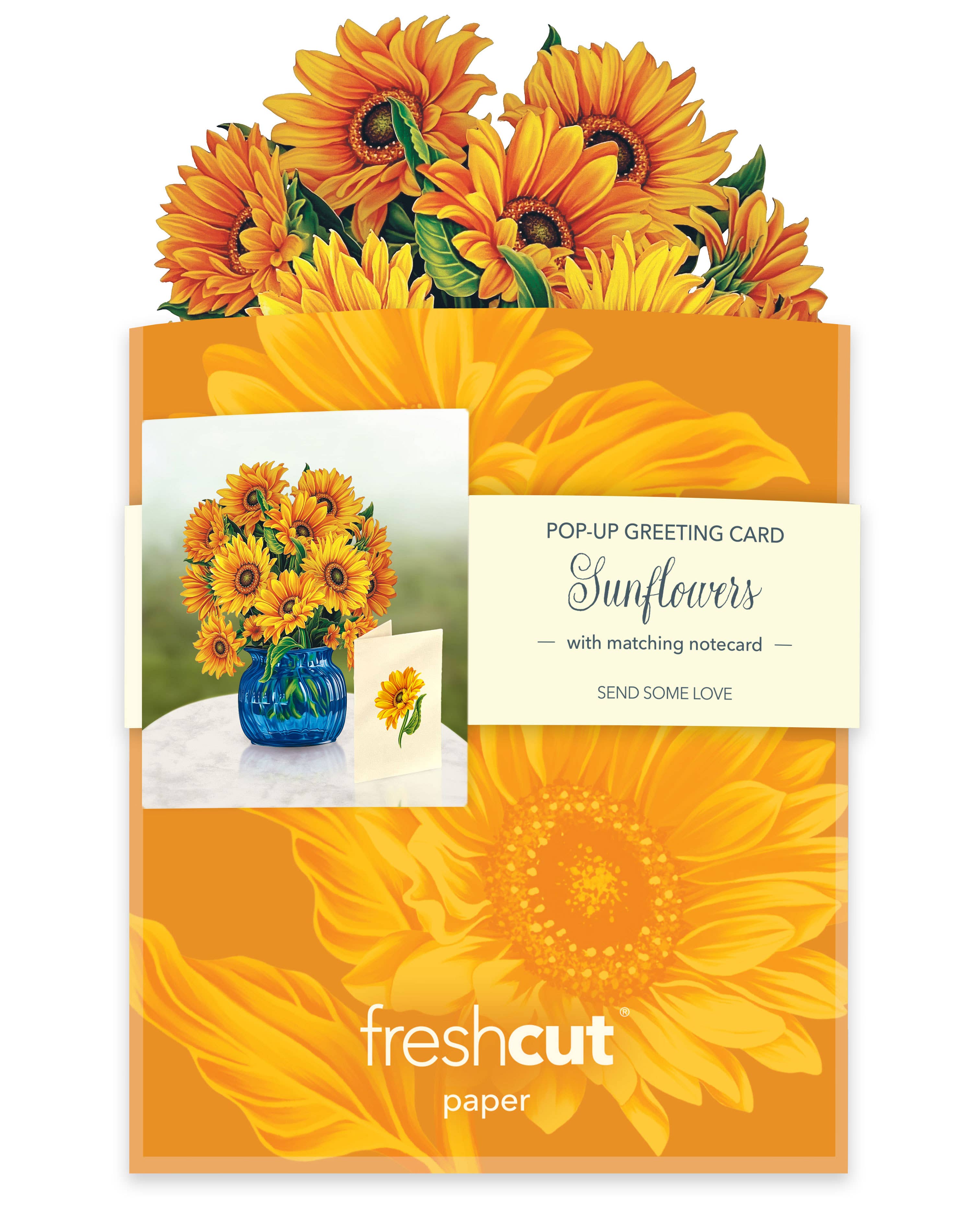 FreshCut Paper LLC - Wholesale Everyday Greeting Card - Mini Sunflowers (10 Pop-up Greeting Cards)4