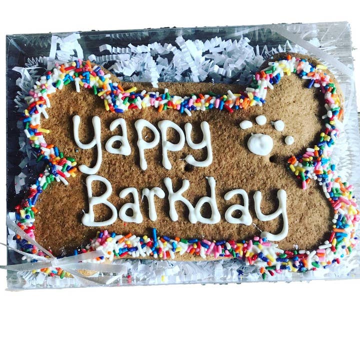 Taj Ma-Hound Bakery for Dogs - Vente Friandises – chien - Os à croquer d'anniversaire avec des vermicelles - Friandise pour chien