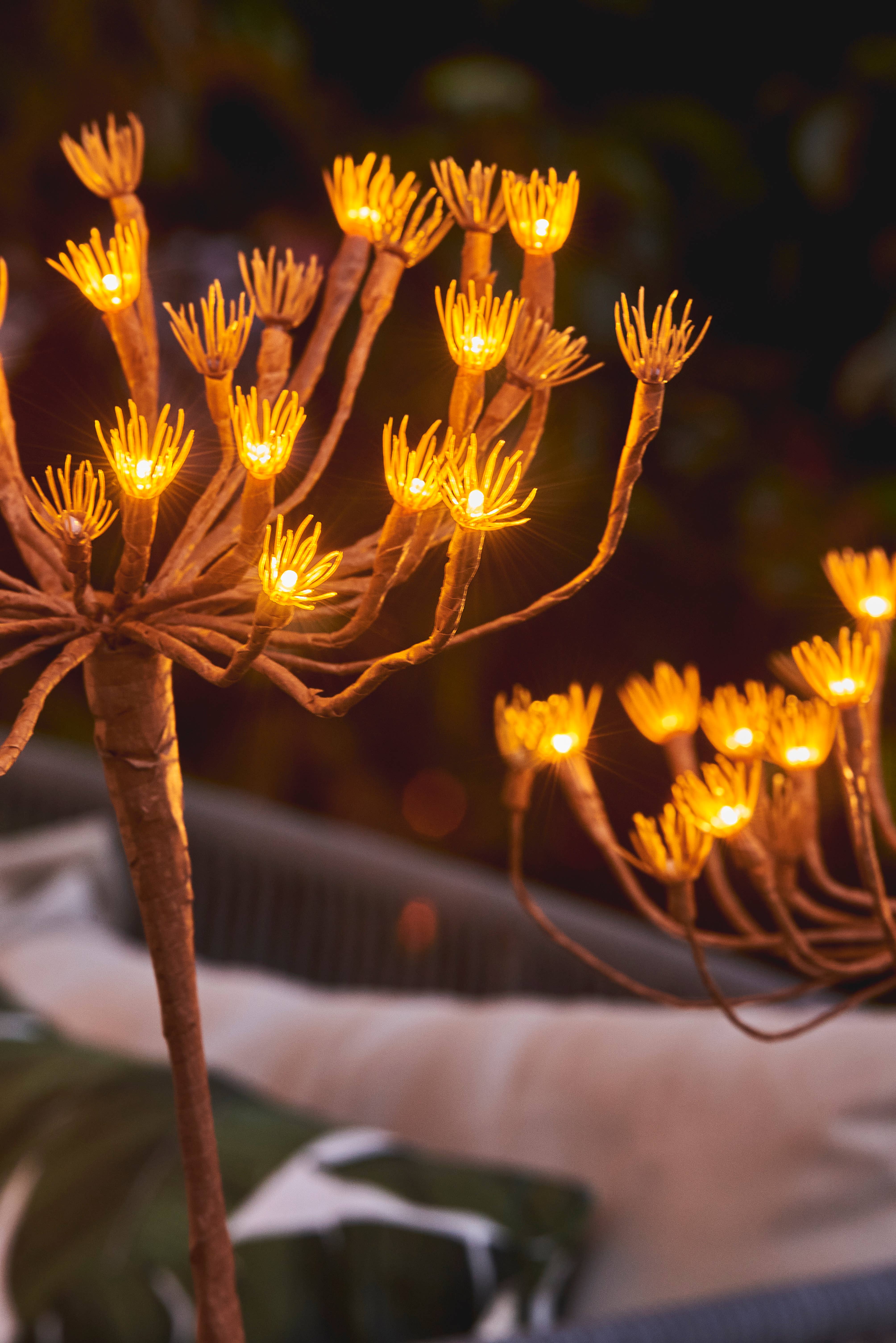 Lumina Of London Co - Wholesale Outdoor/Lawn Light - Solar Wild Fennel Garden Lights2