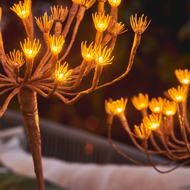 Lumina Of London Co - Wholesale Outdoor/Lawn Light - Solar Wild Fennel Garden Lights2