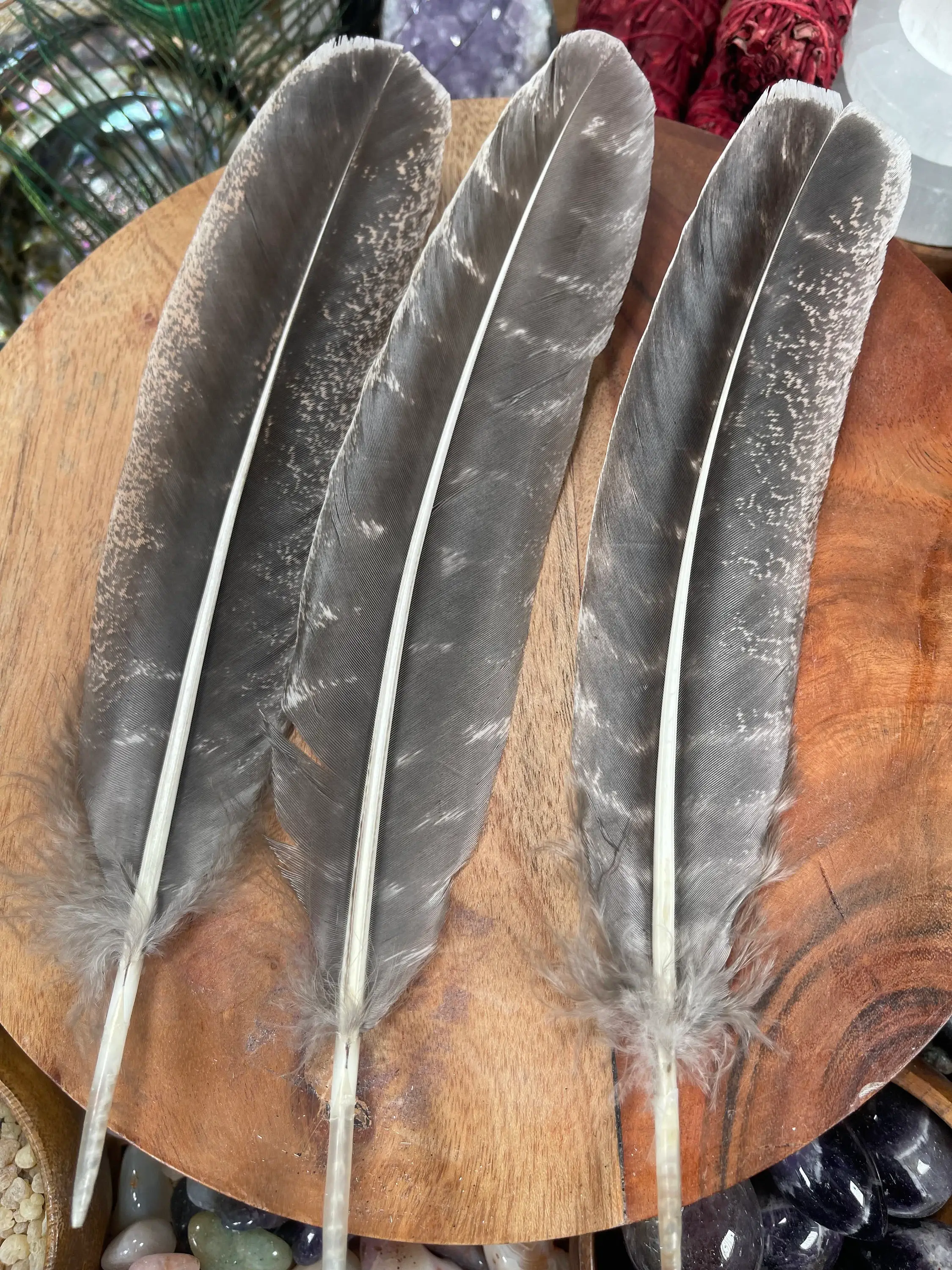 CaNatureLover – Großhandel Salbeibündel – Natürliche Truthahnfedern zum Räuchern, 15-25 cm lang7