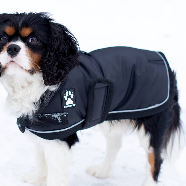 Shedrow K9 - Wholesale Pet Coat - Dog - Shedrow K9 Vail Dog Coat - Black w/ Black Trim0