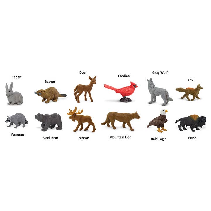 Safari Ltd. - Wholesale Figurine Toy - Kids - Nature TOOB® - 6858042