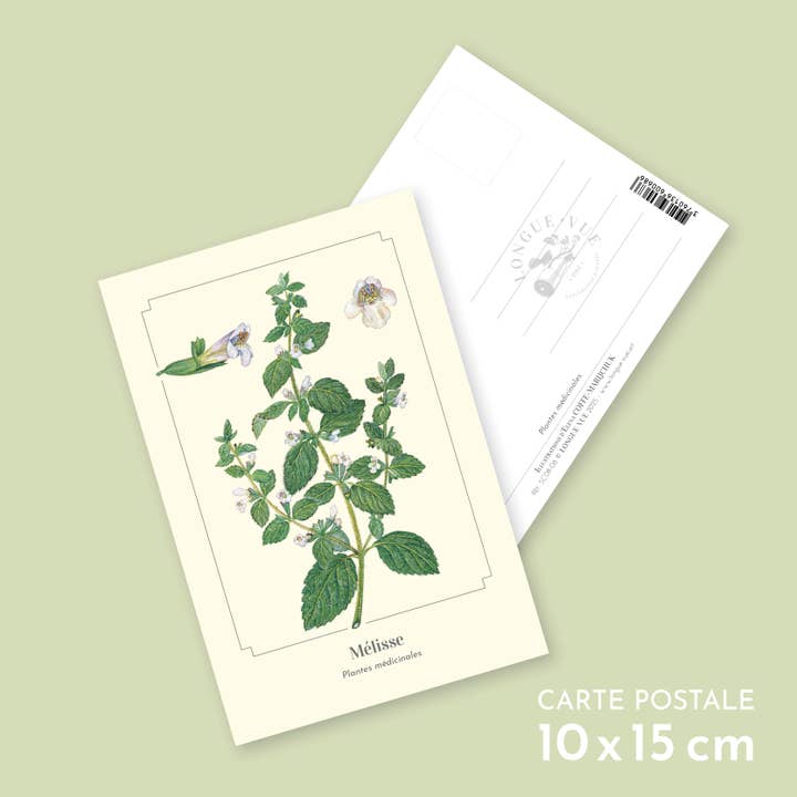 Melissa - Postcard for wholesale by Longue-vue