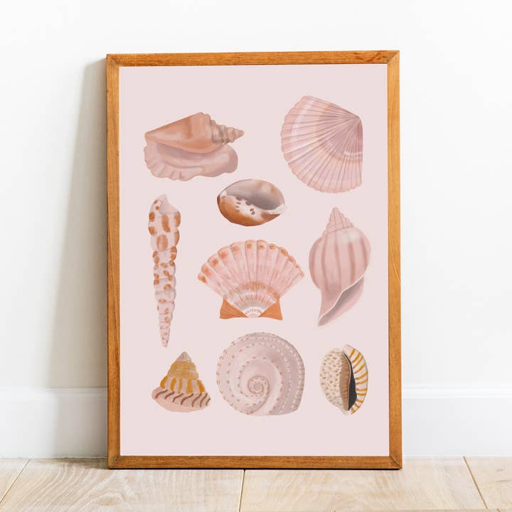 Illustrated Sea Shells Collection for wholesale by Moonbean Designs