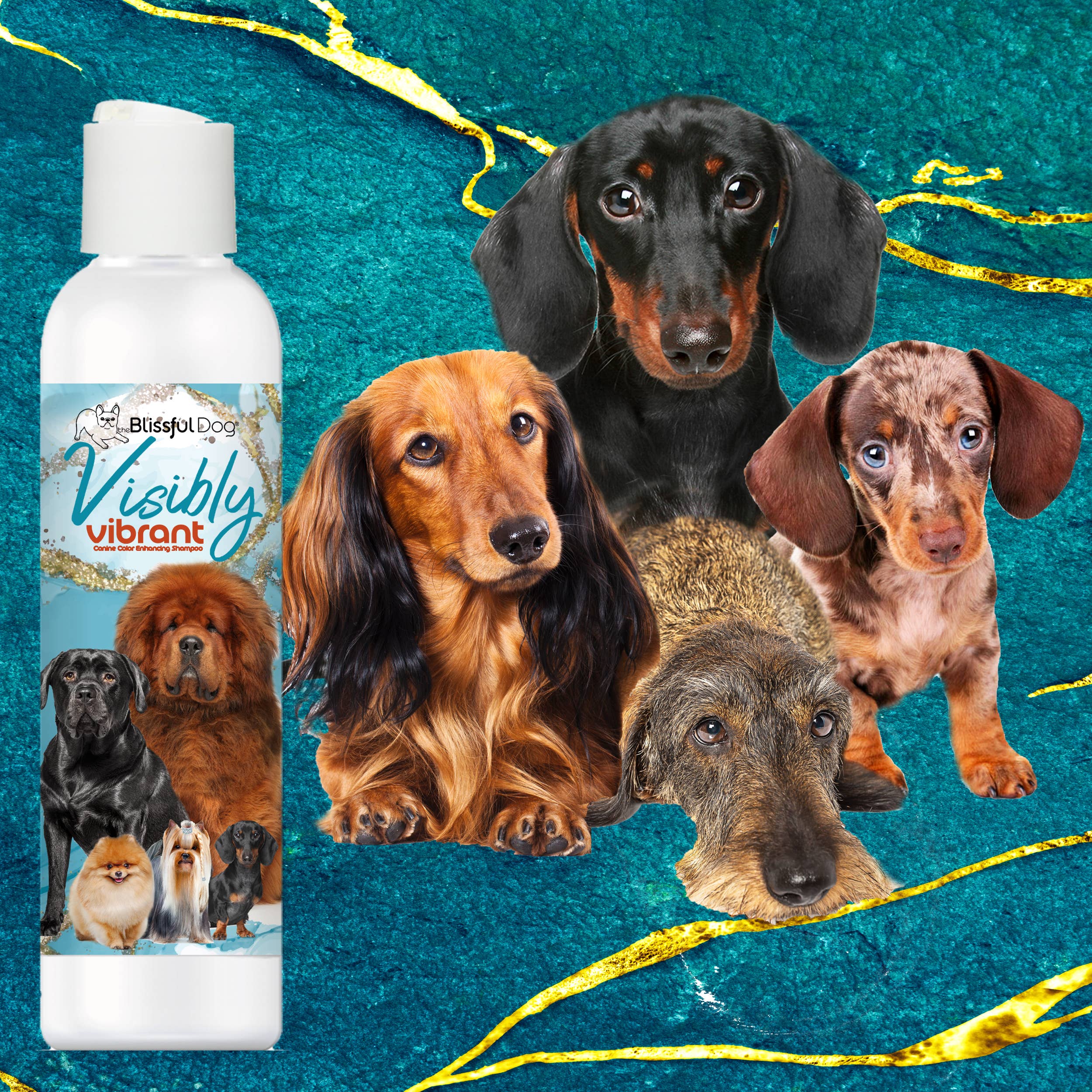 The Blissful Dog - Wholesale Pet Shampoo - Dog - Visibly Vibrant Dog Shampoo for Color Enhancing 1 Gallon3