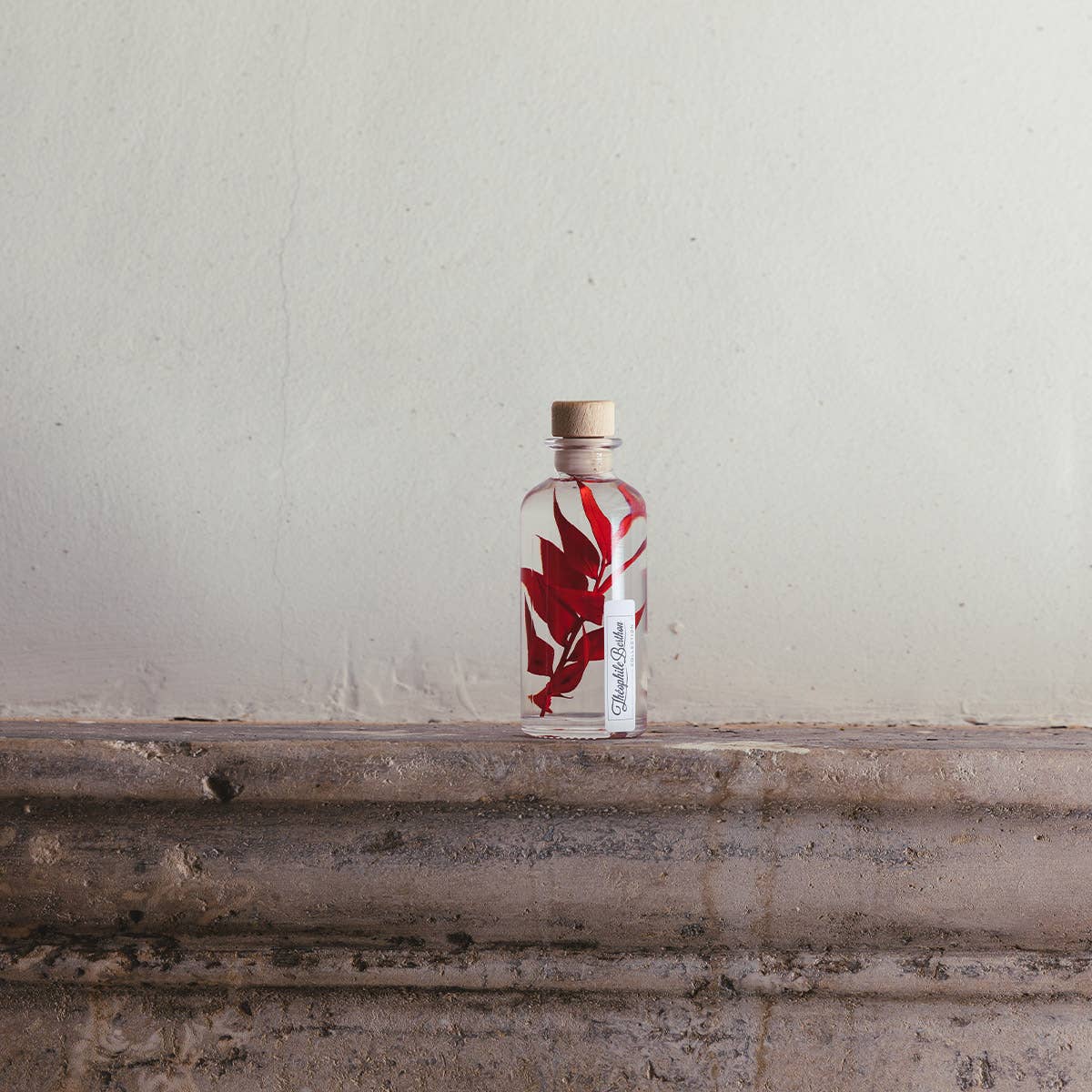 Theophile Berthon - Wholesale Live Plant - Red Ruscus Herbarium submerged plant0