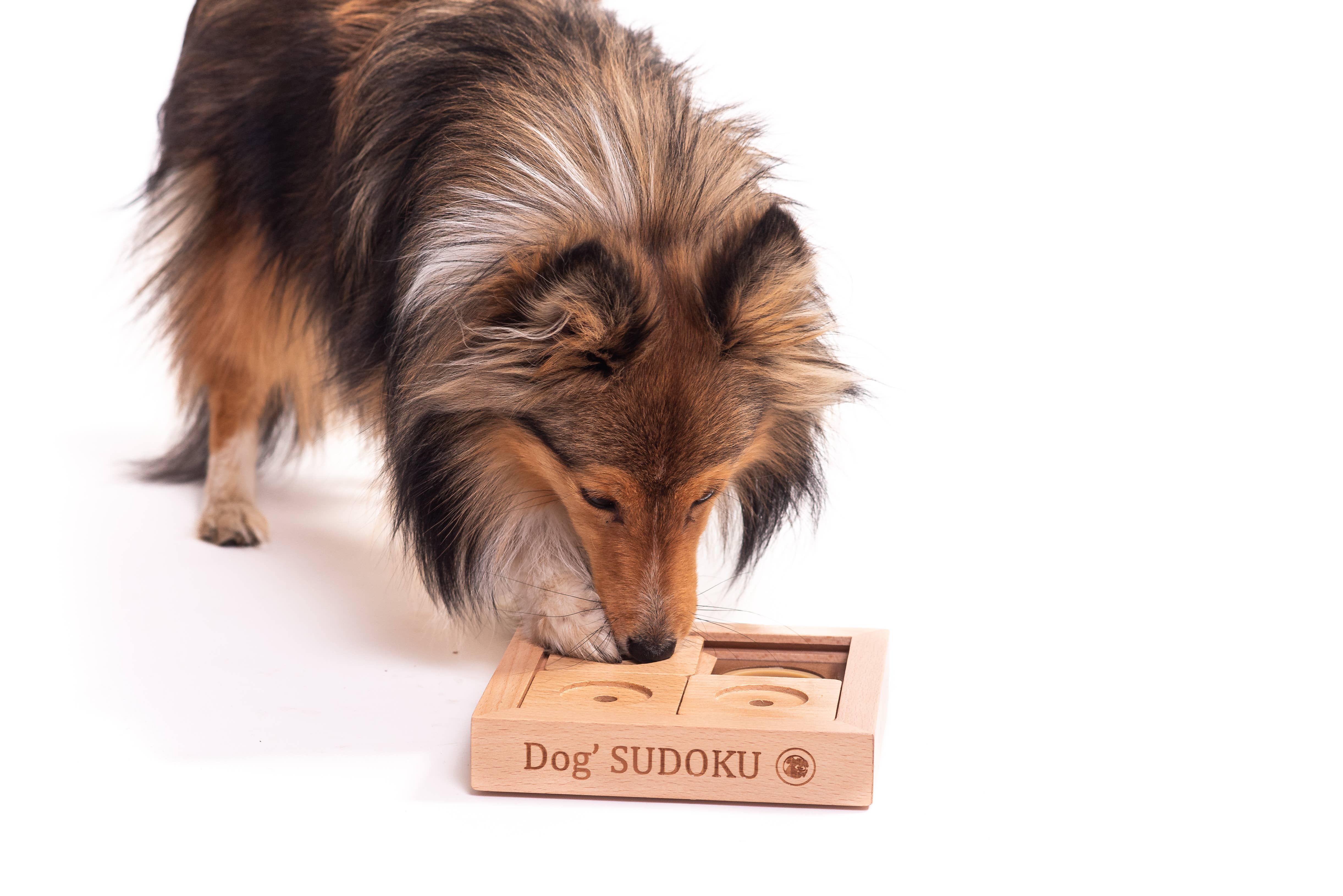 My Intelligent Dogs - Vendita all'ingrosso Giocattoli per animali - Cani e gatti - SUDOKU Small Basic - Puzzle Sudoku per cane e gatto3